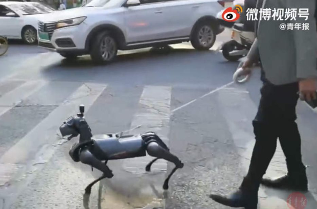 Thú vui mới của người Trung Quốc: nuôi chó robot làm cảnh, giá một con sương sương hơn 300 triệu đồng - Ảnh 4.