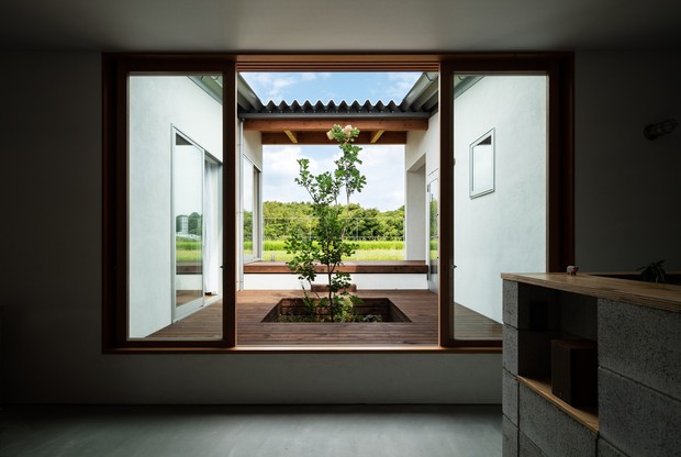 Nhà cấp 4 nằm giữa đồng lúa chín trĩu bông - Ảnh 2. Nhà cấp 4 nằm giữa đồng lúa chín trĩu bông - Ảnh 2.