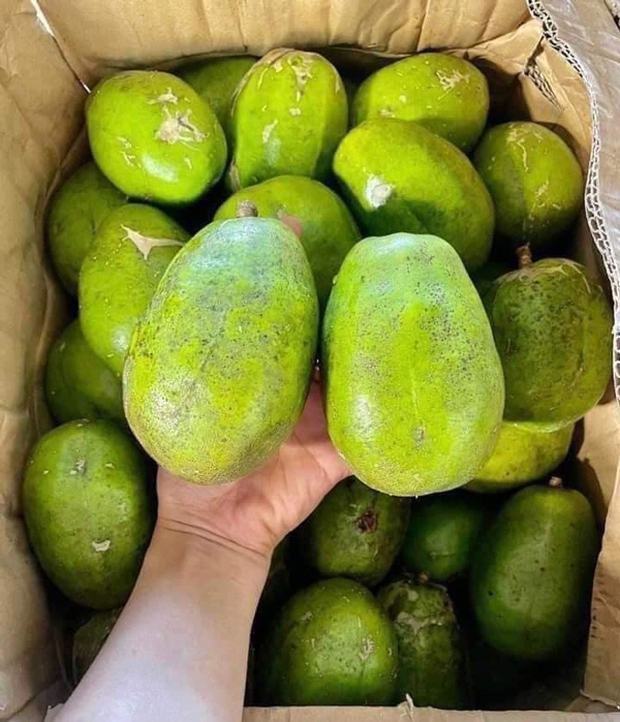 Quả cóc Thái to bằng bàn tay, giá chỉ 40.000 đồng/kg - Ảnh 1.