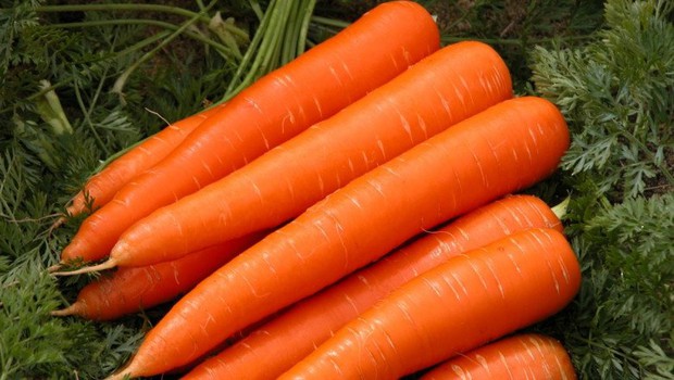 Mua cà rốt nên chọn củ sẫm màu hay nhạt màu? Người trồng nhắc nhở 5 mẹo nên nhớ - Ảnh 3.