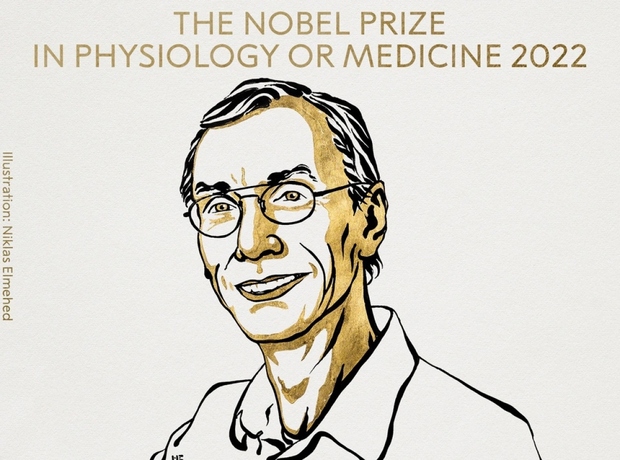 Giải Nobel Y Sinh 2022 thuộc về nhà khoa học Thụy Điển - Ảnh 1.