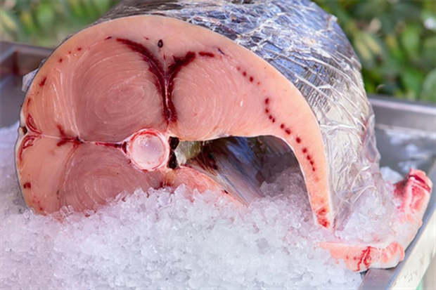 Những loại cá không nên ăn vì chứa nhiều thủy ngân, dễ nhiễm độc - Ảnh 2.