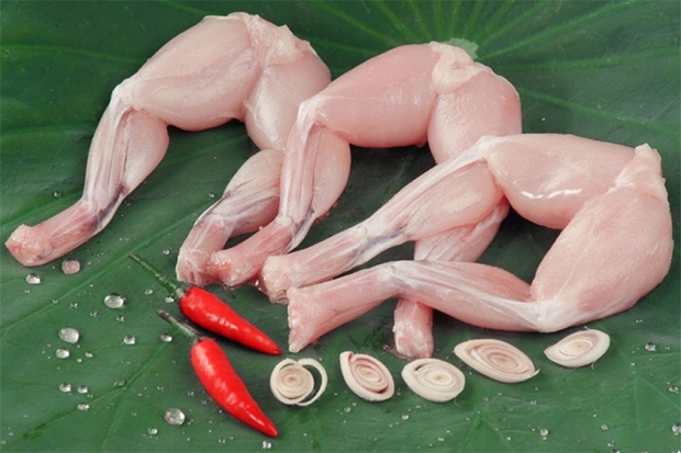 Toan van Tuyen bo chung giua hai nuoc Viet Nam va Trung Quoc hinh anh