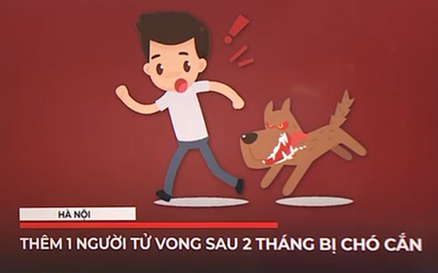 Hà Nội: Thêm 1 người tử vong sau 2 tháng bị chó cắn - Ảnh 1.