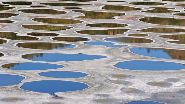 Tại sao hồ Polka Dot của Canada có thể là một hồ bơi có khả năng chữa bệnh - Ảnh 1.