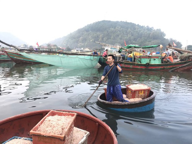 Nghề bóc vỏ tôm, cứ tay nhanh là tiền nhiều - Ảnh 2. Nghề bóc vỏ tôm, cứ tay nhanh là tiền nhiều - Ảnh 2.