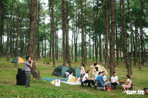 Người dân Thủ đô lên rừng thông Ba Vì cắm trại, ngắm ‘con đường Hàn Quốc’ - Ảnh 5.