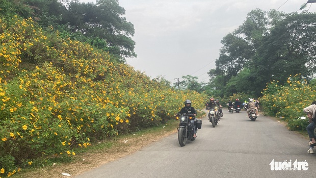 Rủ nhau lên núi ngắm hoa dã quỳ nở rộ, rời xa khói bụi về miền an yên - Ảnh 7. Rủ nhau lên núi ngắm hoa dã quỳ nở rộ, rời xa khói bụi về miền an yên - Ảnh 7.
