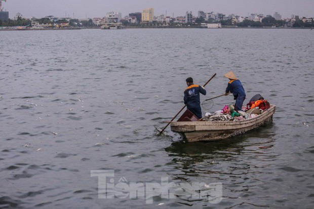 Hà Nội: Huy động thêm ca nô sục nước, vớt cá chết ở hồ Tây - Ảnh 4. Hà Nội: Huy động thêm ca nô sục nước, vớt cá chết ở hồ Tây - Ảnh 4.