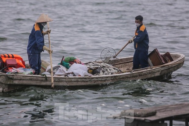 Hà Nội: Huy động thêm ca nô sục nước, vớt cá chết ở hồ Tây - Ảnh 2.