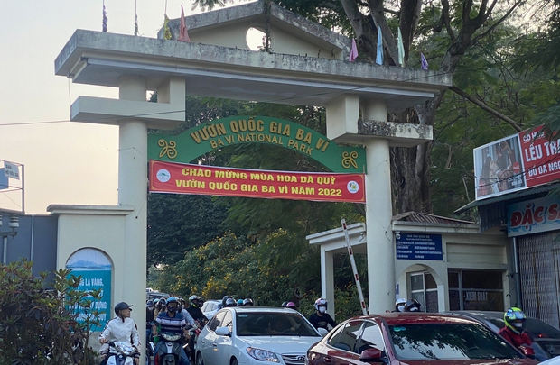 Toàn cảnh người người đổ xô đi ngắm hoa dã quỳ khiến dòng phương tiện lên Ba Vì nối đuôi hàng km - Ảnh 11. Toàn cảnh người người đổ xô đi ngắm hoa dã quỳ khiến dòng phương tiện lên Ba Vì nối đuôi hàng km - Ảnh 11.