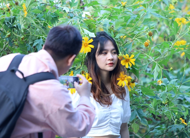 Toàn cảnh người người đổ xô đi ngắm hoa dã quỳ khiến dòng phương tiện lên Ba Vì nối đuôi hàng km - Ảnh 7. Toàn cảnh người người đổ xô đi ngắm hoa dã quỳ khiến dòng phương tiện lên Ba Vì nối đuôi hàng km - Ảnh 7.