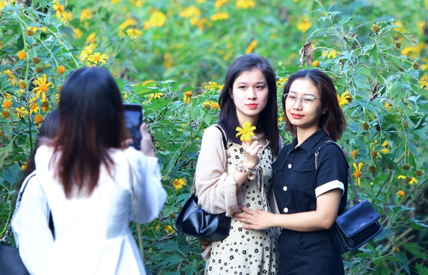Toàn cảnh người người đổ xô đi ngắm hoa dã quỳ khiến dòng phương tiện lên Ba Vì nối đuôi hàng km - Ảnh 6. Toàn cảnh người người đổ xô đi ngắm hoa dã quỳ khiến dòng phương tiện lên Ba Vì nối đuôi hàng km - Ảnh 6.
