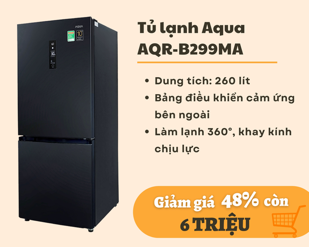 Mẫu tủ lạnh dưới 10 triệu đang giảm giá mạnh dịp cận Tết phù hợp với gia đình từ 3-4 người - Ảnh 2.