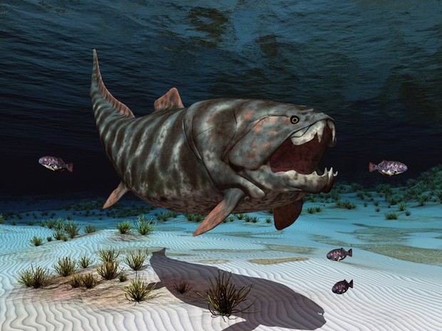 Phát hiện loài cá có thể cắn đứt đôi cơ thể của cá mập trắng lớn - Ảnh 3.