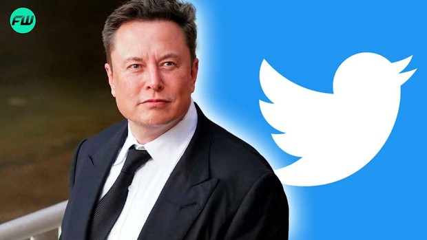 Ác mộng của Phó chủ tịch Twitter: Phải làm việc hơn 75 giờ/tuần vì Elon Musk đã đuổi quá nhiều người - Ảnh 3.