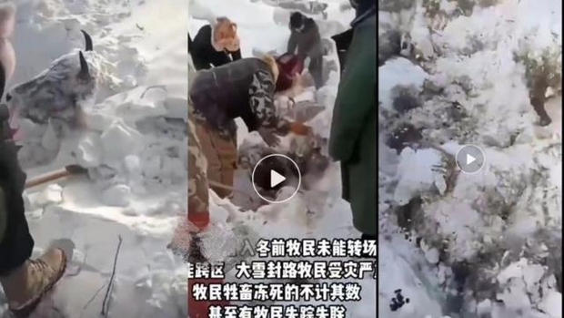 7 người thiệt mạng ở Tân Cương (Trung Quốc) do thời tiết lạnh cực đoan - Ảnh 1.