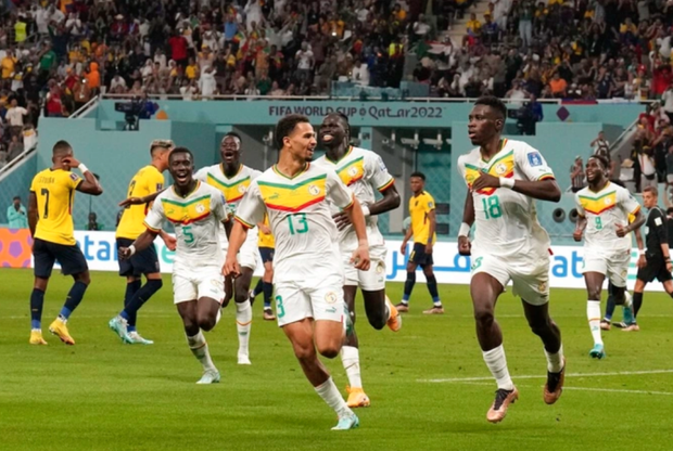 Senegal đánh bại Ecuador, giành vé vào vòng 1/8 World Cup 2022 - Ảnh 1.