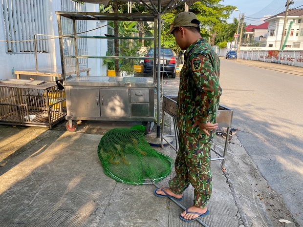 Người dân TP.HCM ủng hộ việc bắt chó thả rông - Ảnh 4. Người dân TP.HCM ủng hộ việc bắt chó thả rông - Ảnh 4.