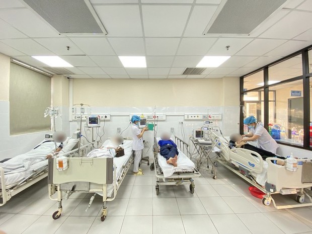 Đàn ong mật khổng lồ hàng ngàn con bất ngờ tấn công nhóm người chơi thể thao - Ảnh 1. Đàn ong mật khổng lồ hàng ngàn con bất ngờ tấn công nhóm người chơi thể thao - Ảnh 1.
