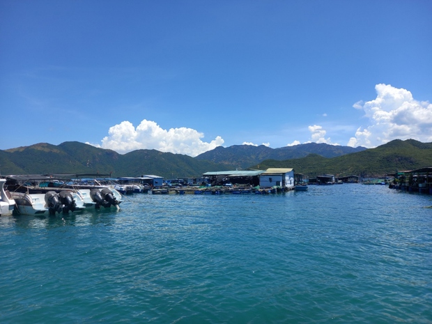 Tạm dừng hoạt động du lịch lặn biển tại một số khu vực trong vịnh Nha Trang - Ảnh 2.