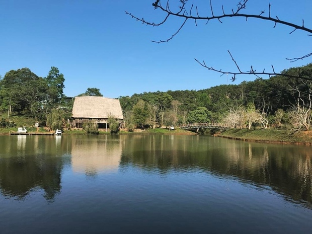 Release stress with the peaceful scenery of the sleeping princess in the forest in Kon Tum - Photo 5.