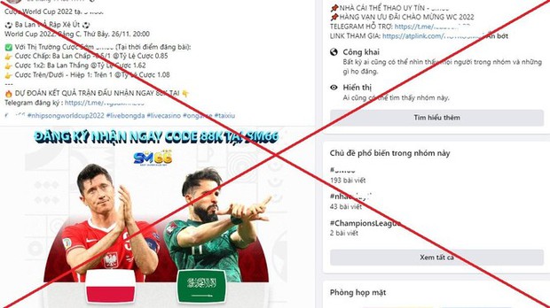 Facebook dung túng quảng cáo cá độ bóng đá mùa World Cup - Ảnh 1.