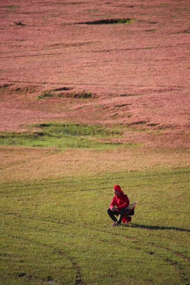 Xao xuyến trước cảnh đẹp như tranh vẽ của đồi cỏ hồng hoang sơ ở Đức Trọng - Ảnh 8.