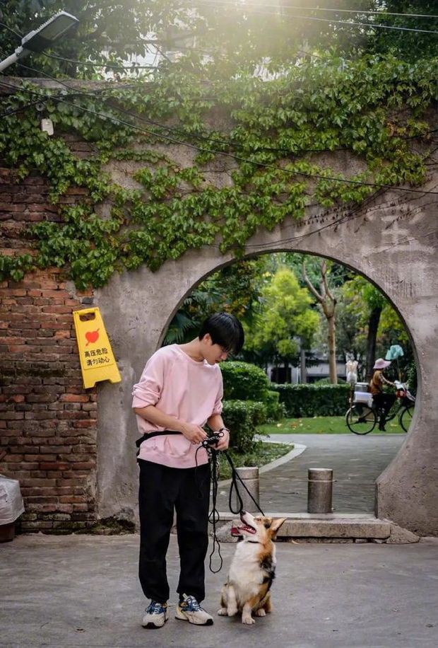Kiếm cả trăm triệu mỗi tháng nhờ trông mèo thuê, dắt chó đi dạo - Ảnh 4. Kiếm cả trăm triệu mỗi tháng nhờ trông mèo thuê, dắt chó đi dạo - Ảnh 4.