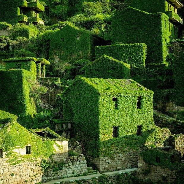 Cận cảnh ngôi làng bỏ hoang đẹp như tranh cổ tích ở Trung Quốc - Ảnh 3.