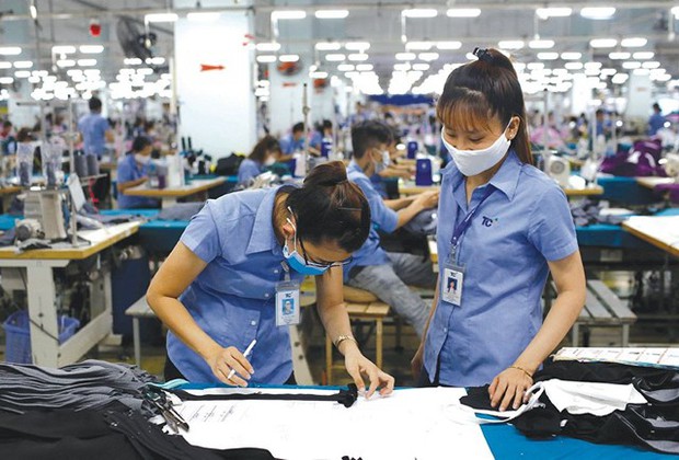 Lương tháng 13 có phải là thưởng Tết? - Ảnh 3.