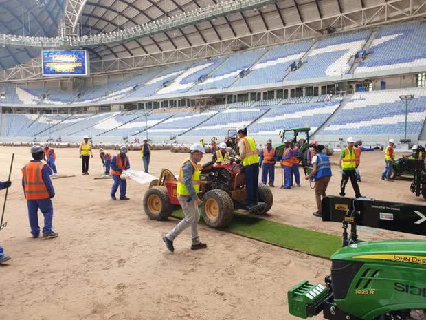 Cách một công ty ở Mỹ trồng cỏ rồi mang tới Qatar cho kỳ World Cup 2022 - Ảnh 4.