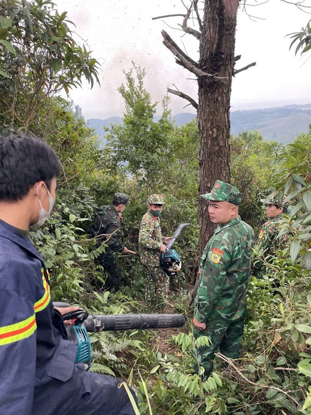 Bà hỏa thiêu rụi cả chục hecta rừng ở Quảng Ninh - Ảnh 3.