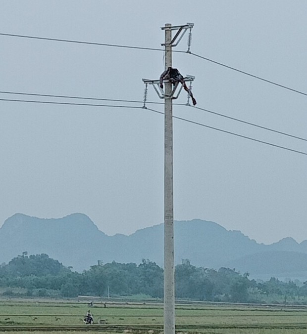 Vụ người đàn ông bị điện giật cháy đen: Nạn nhân không phải là nhân viên công ty - Ảnh 1.