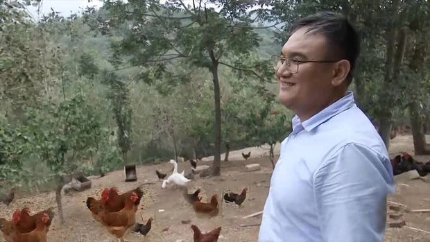 Giám đốc từ chức về quê nuôi giống gà không ai mua nhưng lại kiếm hàng trăm tỷ đồng mỗi năm theo cách không tưởng - Ảnh 3.
