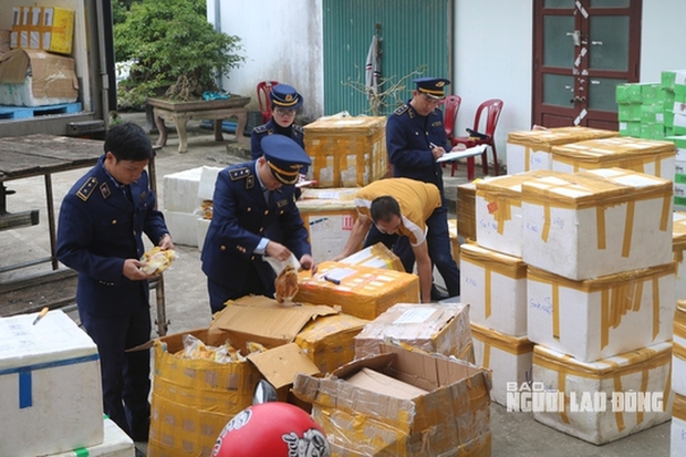 RÙNG MÌNH: Hơn 6 tấn thịt gà, giò heo... thối chở từ TP Hà Nội vào TP.HCM tiêu thụ - Ảnh 1.