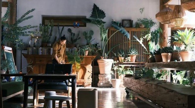 Mê mẩn những ngôi nhà xanh mướt mắt giữa phố - Ảnh 6.