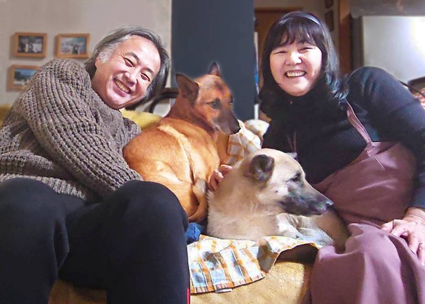 Trải lòng của những người nhận nuôi thú cưng tại Nhật: Cứu một sinh mạng cũng chính là món quà cho tâm hồn mình - Ảnh 5.