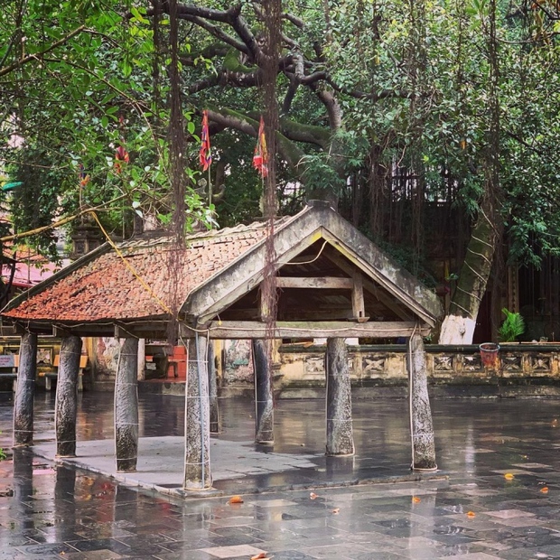 Huyền bí chuyện cá thần ở giếng cổ màu ngọc bích, vị ngọt tự nhiên ở làng Diềm - Ảnh 2.