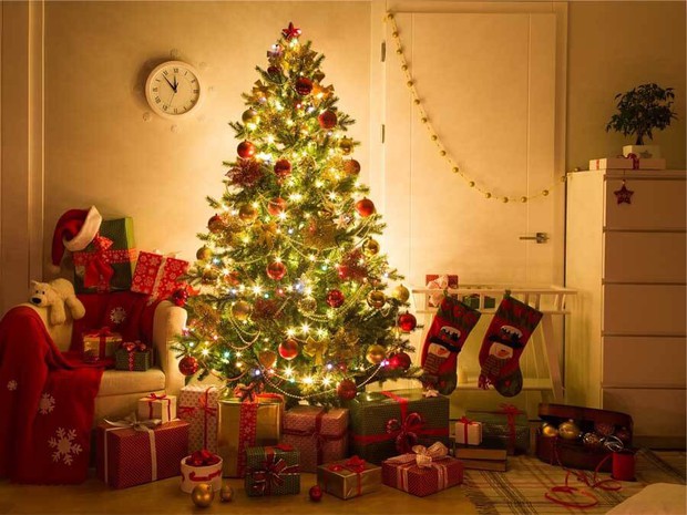 Cách chọn cây thông Noel giá rẻ nhưng vẫn tạo được hiệu ứng tối đa cho căn nhà, lại phù hợp với túi tiền - Ảnh 1.