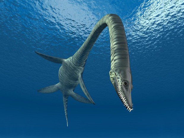 Siêu quái vật đầu rắn dài 10 mét, 100 triệu tuổi hiện hình ở Úc - Ảnh 2.