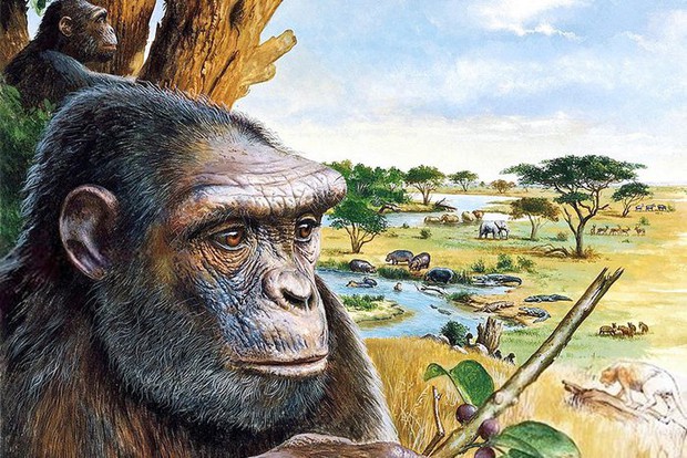 Hóa thạch từ 7 triệu năm trước chứng minh rằng loài người đã tiến hóa ở châu Âu - Ảnh 3.