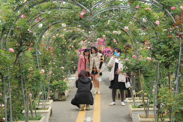 Khai mạc Lễ hội hoa và Festival nông sản, sản phẩm OCOP tại huyện Mê Linh - Ảnh 3.