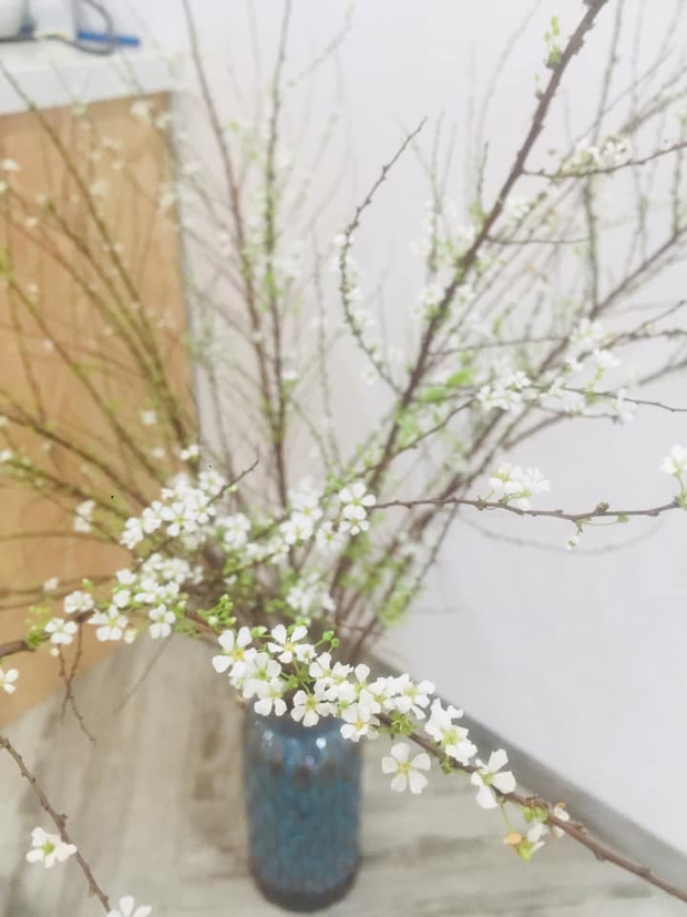 Nhìn tuyết mai ngủ đông không dậy, dân tình vừa xót tiền vừa nóng ruột: Mất triệu bạc chỉ để đổi lấy cành củi khô - Ảnh 7. Nhìn tuyết mai ngủ đông không dậy, dân tình vừa xót tiền vừa nóng ruột: Mất triệu bạc chỉ để đổi lấy cành củi khô - Ảnh 7.