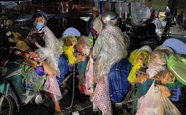 Bị tố tiêu cạn 120 triệu, xin thêm tiền mạnh thường quân, chủ đàn chó ở Cà Mau kêu oan - Ảnh 4. Bị tố tiêu cạn 120 triệu, xin thêm tiền mạnh thường quân, chủ đàn chó ở Cà Mau kêu oan - Ảnh 4.