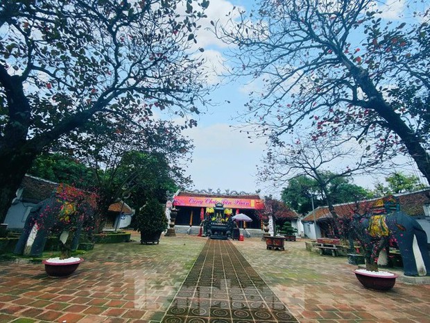 Nam Định đóng cửa đền Trần Rằm tháng Giêng, không tổ chức lễ khai ấn - Ảnh 4.