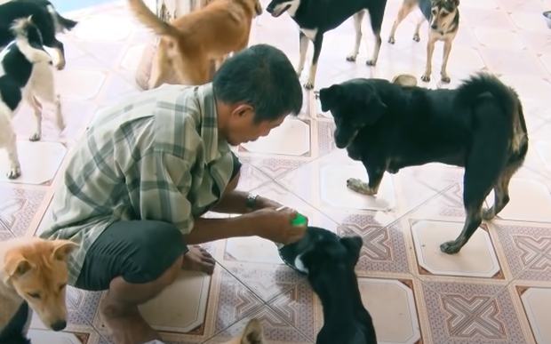 Người đàn ông 54 tuổi vô gia cư, nhặt ve chai nuôi đàn chó 30 con gây xúc động trên truyền hình - Ảnh 2.