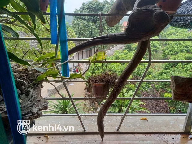 Ảnh: Cận cảnh hiện trường và góc cửa sổ nơi gã đàn ông đứng từ tầng 2 nổ súng khiến đôi vợ chồng hàng xóm thương vong ở Thái Nguyên - Ảnh 6. Ảnh: Cận cảnh hiện trường và góc cửa sổ nơi gã đàn ông đứng từ tầng 2 nổ súng khiến đôi vợ chồng hàng xóm thương vong ở Thái Nguyên - Ảnh 6.