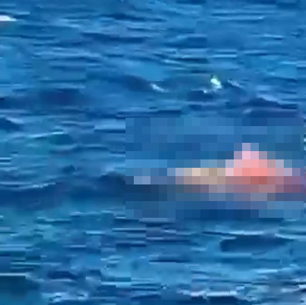 Khoảnh khắc kinh hoàng người đàn ông bị cá mập cắn đứt làm đôi khi tắm biển gây chấn động nước Úc - Ảnh 3.