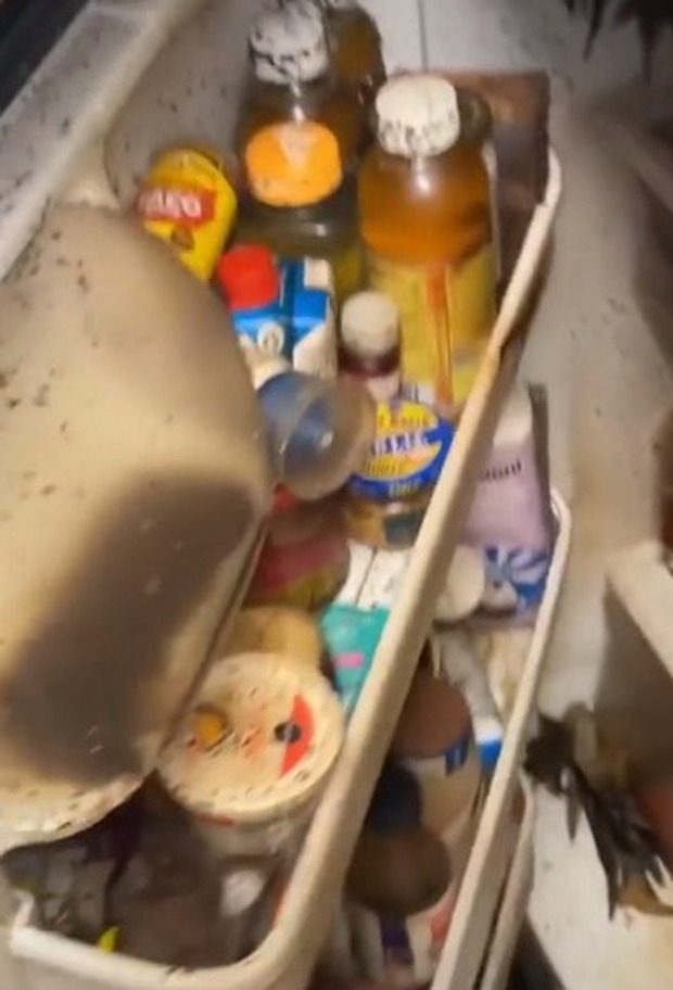 Cô gái xanh mặt khi mở chiếc tủ lạnh sạch bong sáng bóng của gia chủ khi đến dọn nhà thuê, hơn 3 triệu người xem nhìn thấy cũng ngất theo - Ảnh 2. Cô gái xanh mặt khi mở chiếc tủ lạnh sạch bong sáng bóng của gia chủ khi đến dọn nhà thuê, hơn 3 triệu người xem nhìn thấy cũng ngất theo - Ảnh 2.